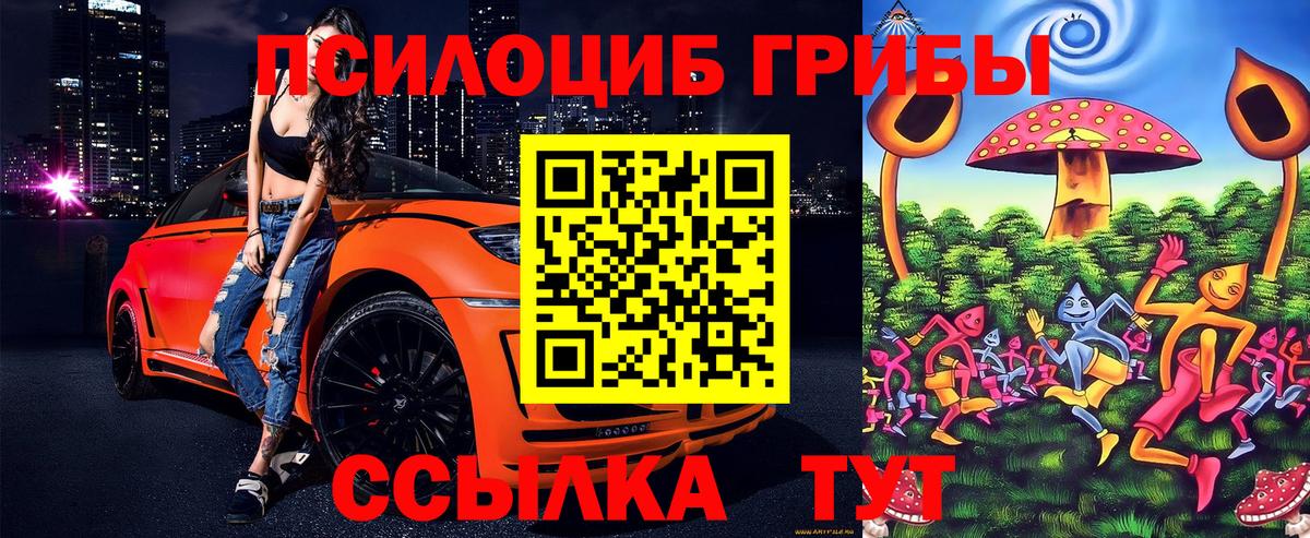 продажа наркотиков  Вход с VPN  Железногорск  Псилоцибиновые грибы Magic Shrooms 